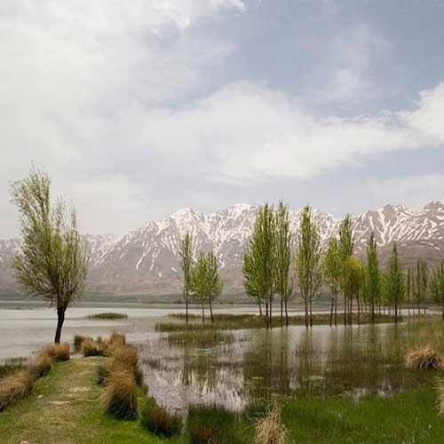 شهر بلداجی