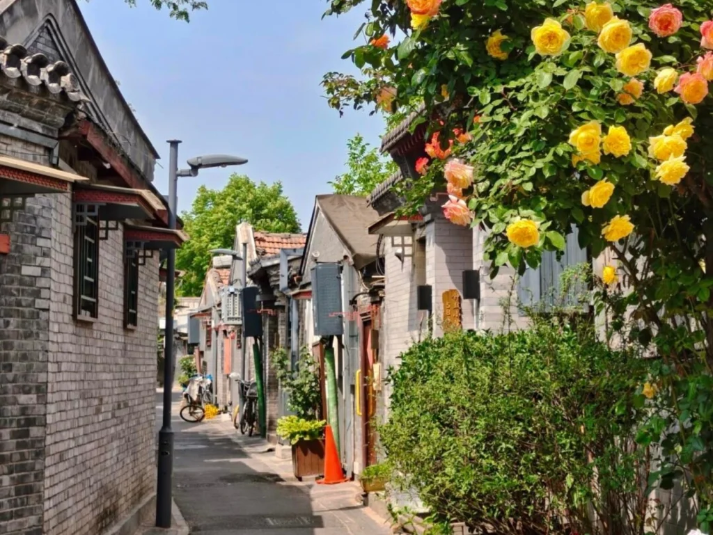 محله‌های قدیمی هوتونگ پکن