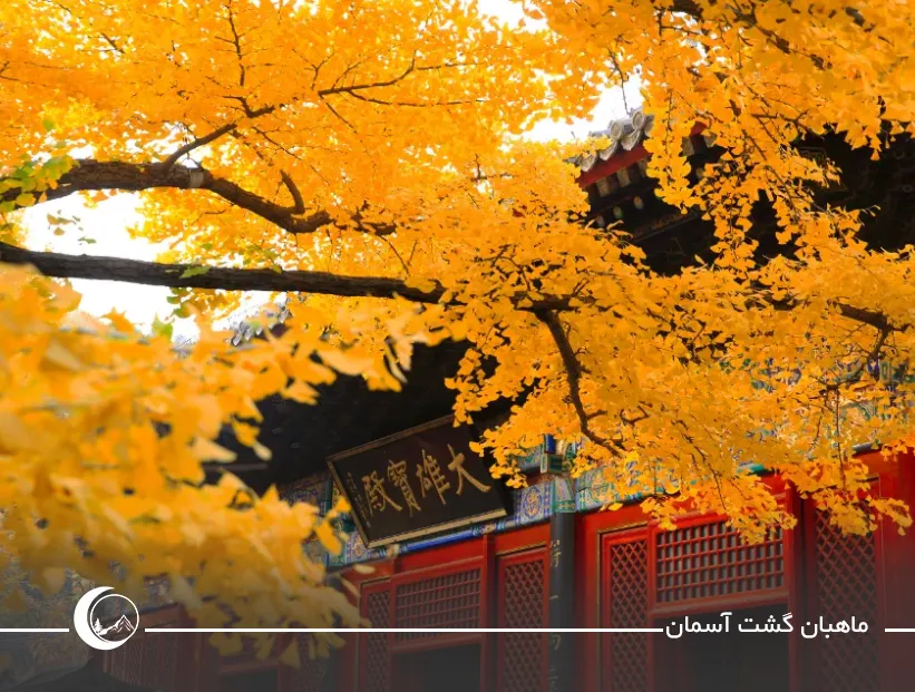 محله‌های قدیمی هوتونگ پکن