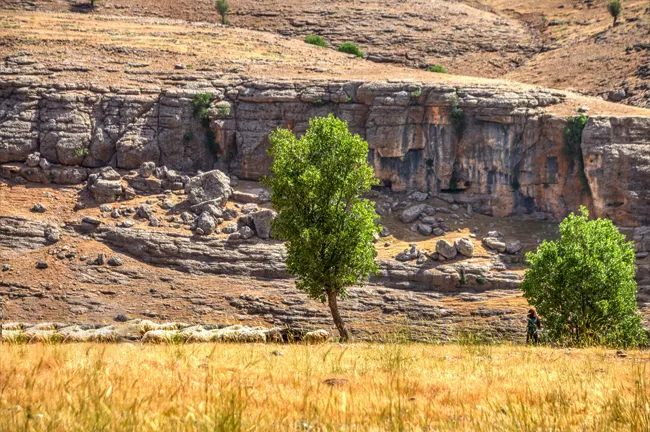 تور لاله های واژگون کوهرنگ و عشایر بختیاری