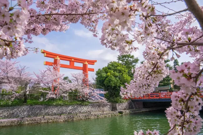 تور کره جنوبی و ژاپن