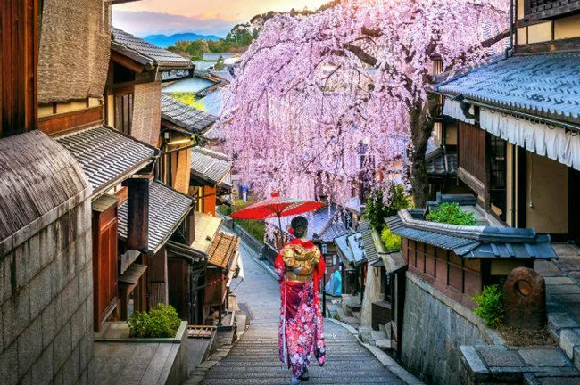 تور ژاپن نوروز 1403 اجرای دوم 3 تا 14 فروردین