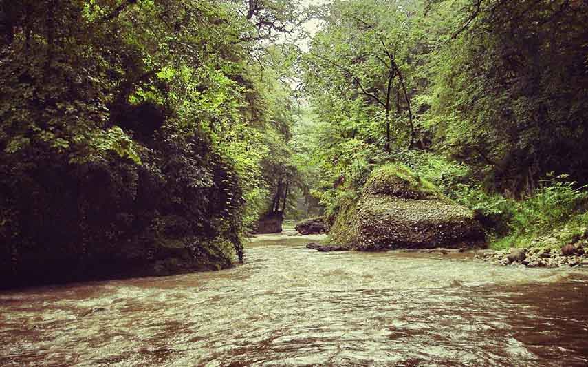 تور رودخانه نوردی پلنگ دره