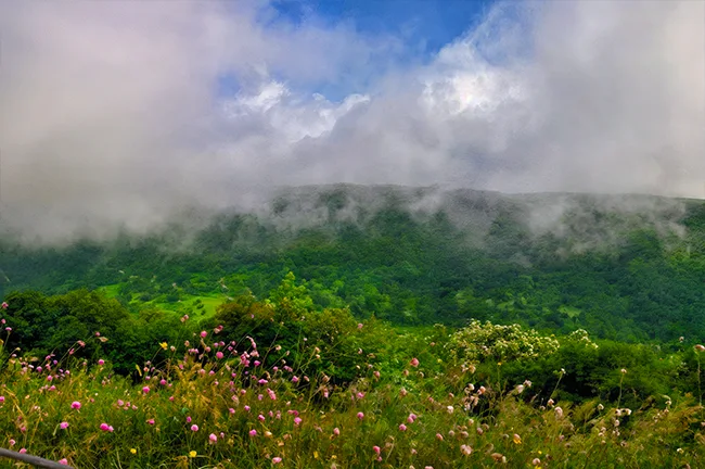 تور سرعین و اردبیل