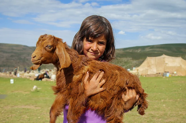 تور عشایر کرمانج و شهر تاریخی بلقیس 12 تا 15 خرداد