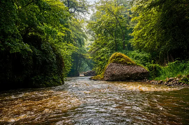 تور رودخانه نوردی پلنگ دره