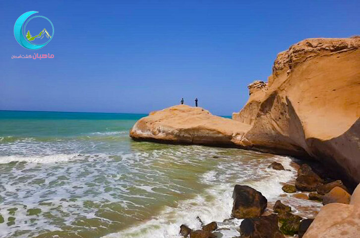 تور بیشاپور و بوشهر تا شهر گور (هوایی)