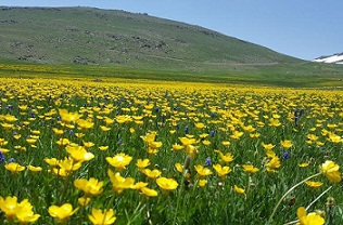 تور سافاری دریاچه نئور تا ییلاق سوباتان (فولبرد)