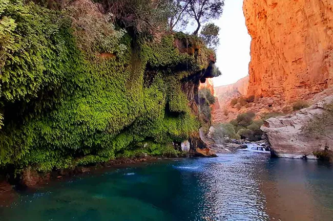 تور تنگه های فارس