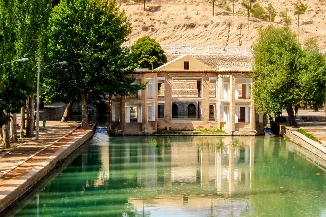 تور پسته چینی دامغان و گل آفتابگردان کالپوش