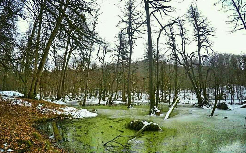 تور سافاری مرداب دریوک