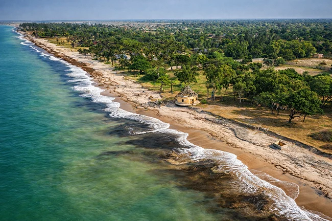 تور غرب آفریقا (موریتانی، سنگال، ساحل عاج)