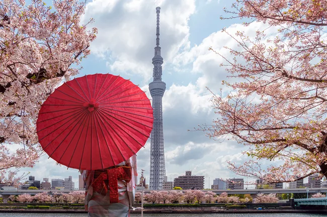 تور ژاپن اقتصادی نوروز 1405 (کوله گردی)