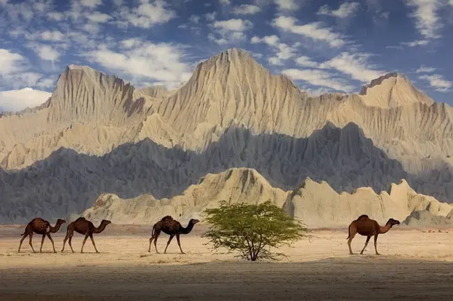 تور سیستان و زاهدان (هوایی)