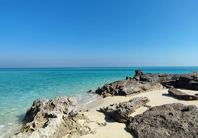 تور بوشهر و جزیره خارک تا بندر گناوه (هوایی) (اجرای دوم)