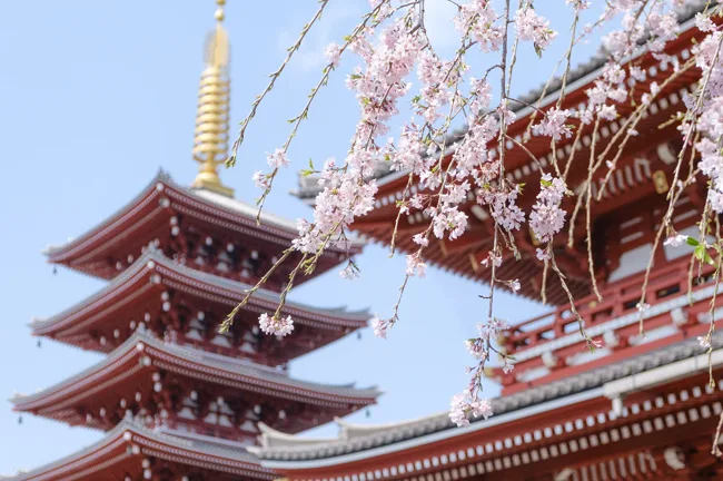 تور ژاپن فروردین 1405 (اکونومی اجرای سوم)