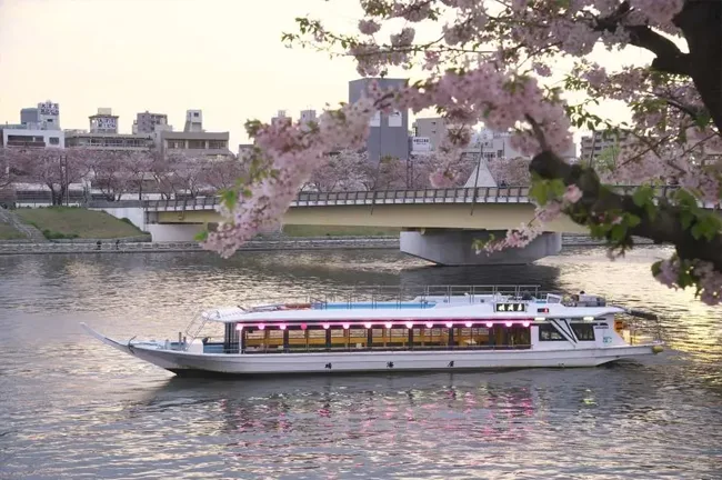 تور ژاپن لوکس نوروز 1405 (اجرای سوم)