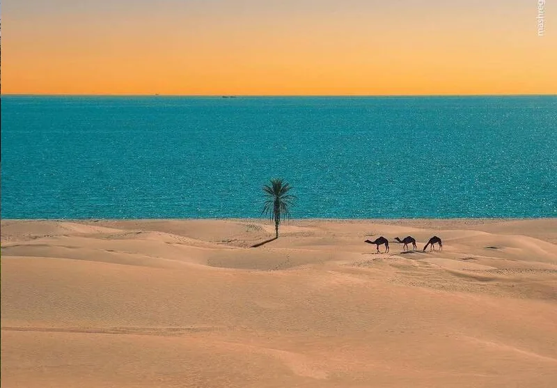 تور چابهار و ارگ بم (قطار)