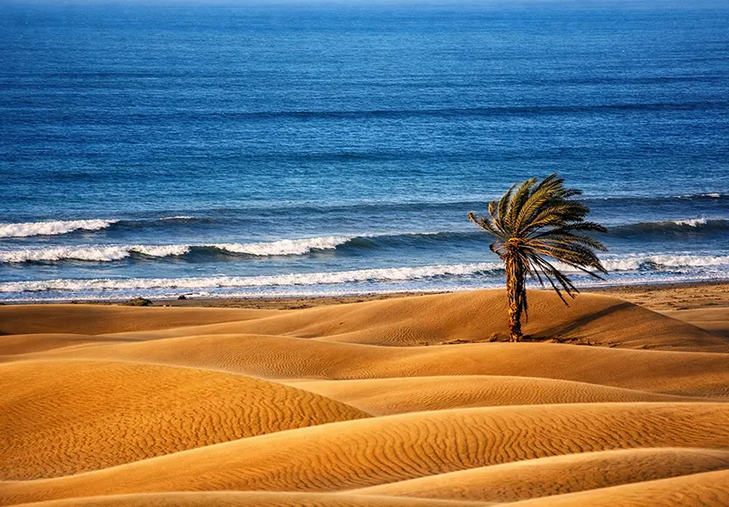 تور چابهار و ارگ بم (قطار)