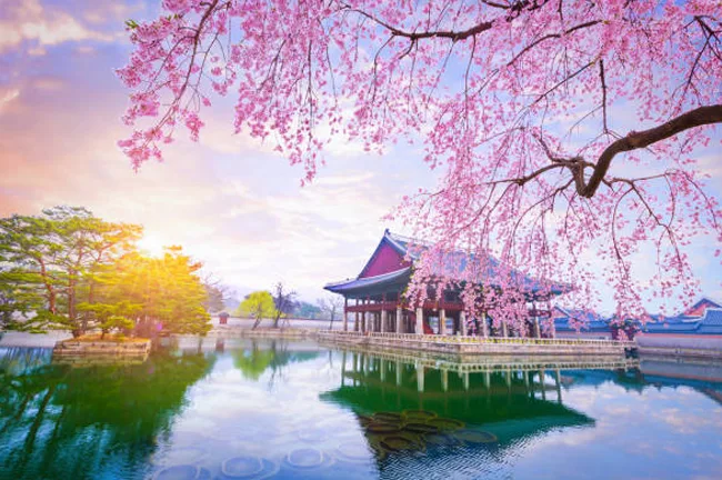 تور ژاپن لوکس پاییزی آبان 1405