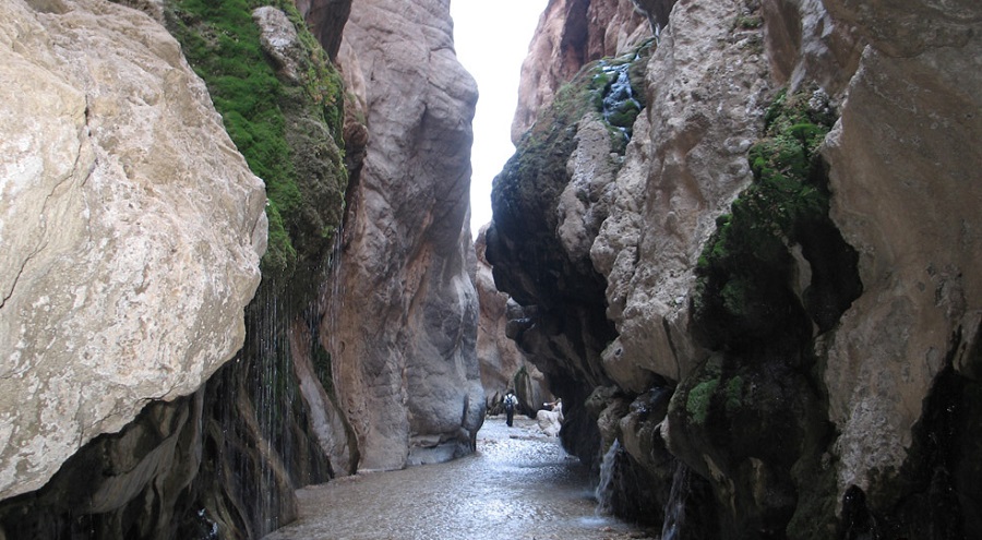 تور طبس تا کویر حلوان