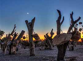 تور جزیره تا جزیره