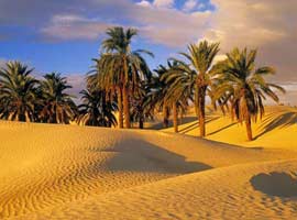 تور طبس و کال جنی