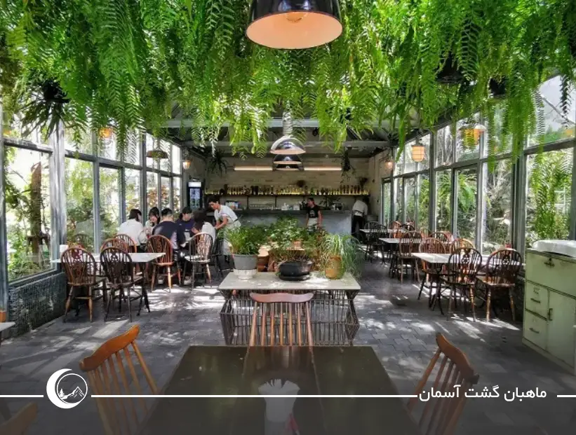 بهترین رستوران های ویتنام؛ مقصدی جذاب برای علاقه‌مندان خوراک