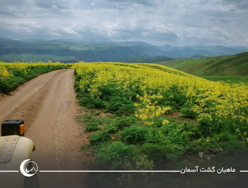تصویری از بهترین زمان برای سفر زمینی به ازبکستان undefined