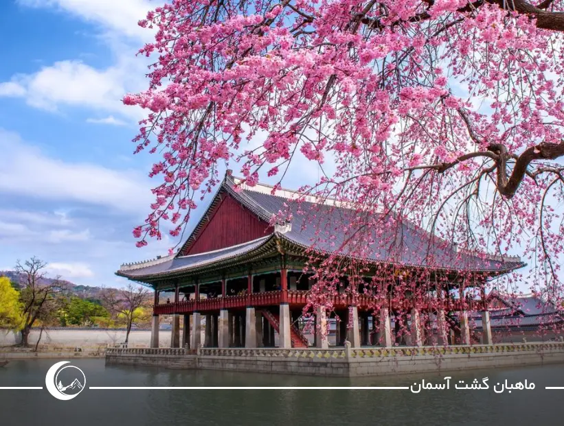 تصویری برای بهترین زمان برای سفر به سئول undefined