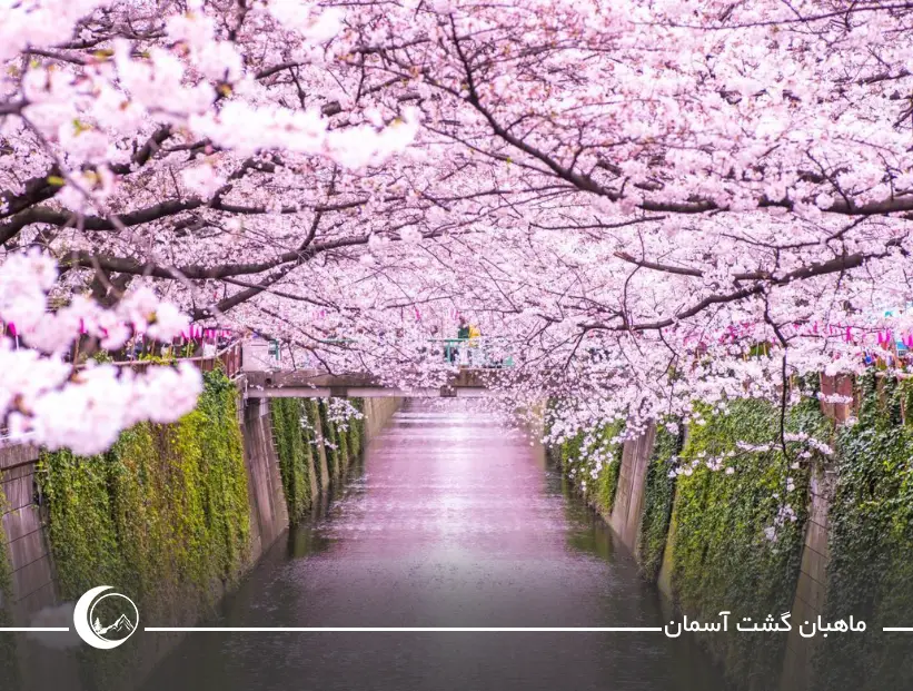 بهترین تفریحات ژاپن | تفریحاتی جذاب برای علاقه‌مندان ‌به سفر