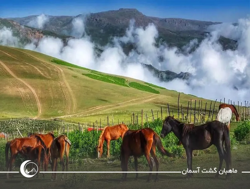 بهترین فصل سفر به سوباتان: ۴ زمان عالی برای سفر