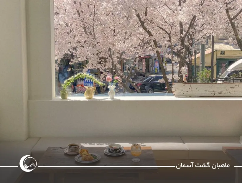 تصویری برای بهترین زمان برای کافهگردی در کره جنوبی undefined