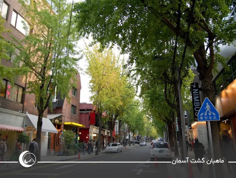 تصویری از گاروسوگیل از بهترین مراکز خرید سئول undefined